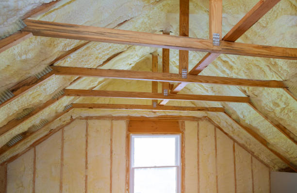 Best Insulation Repair Services  in Belle Plaine, IA